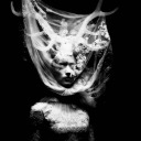 best-of-the-cutthroats avatar