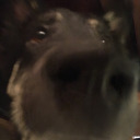 best-username-i-could-think-of avatar