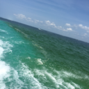 bestasinpickles avatar