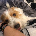 bestblognever avatar