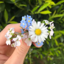 bestimmerinueberalles avatar