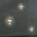 bestiole-farouche avatar