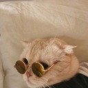 bestkpophappenings avatar