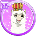 bestllsifcardtournaments avatar