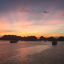 bestmorning-fern avatar