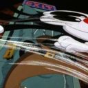 bestofanimaniacs avatar