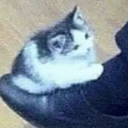 bestoftheworstmen avatar