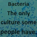 bestonesworld avatar