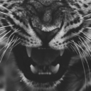 betchuguessdit avatar