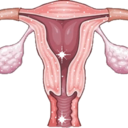 betonbygninger-blog avatar