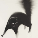 better-oblivion avatar