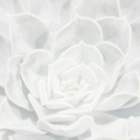 better-than-scenes avatar