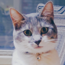 bettercalljuniper avatar