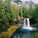 bettereartheveryday avatar