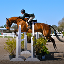 betterinbreeches avatar