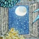 betterinthedarkreblog avatar