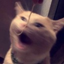 bettertogheter avatar