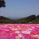 betterversionofme2016 avatar