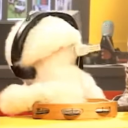 betty-carlos27 avatar