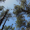 between--the--lines avatar