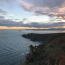 between-comfortandchaos avatar