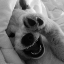 between-heaven-hell avatar