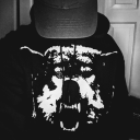 between-softness-and-light avatar