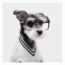 betweenmirrors-com avatar