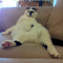 betweenshades avatar