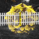 betweenthetiles avatar