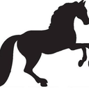 beverlyjacobsequinemassage avatar