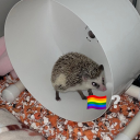 bevsnotguilty avatar