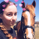 bewarethechestnutmare avatar