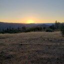 bewarethegush avatar