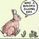 bewarethejaberwockmyson avatar