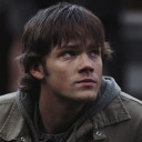 bewaretheroach avatar