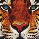 bewarethesprawl avatar