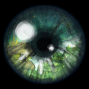 bewarethestare avatar