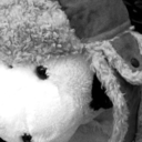 bewegtebilder-blog-blog avatar