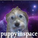 bewildered-puppy avatar