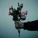 bewitched-beguiled-bewildered avatar