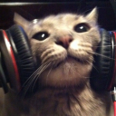 bewitched-girl avatar