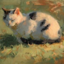 bewitchedmagpie avatar