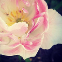 bexinspirationboard avatar