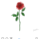 bexsblogposts avatar