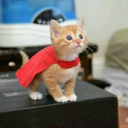 beyazfosforlukalem avatar