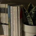 beyazgecelers avatar