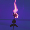 beyo-archives-and-shtuff avatar