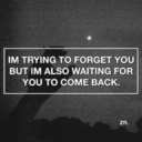 beyoncelawsson avatar