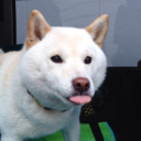 beyoncesbootycall avatar